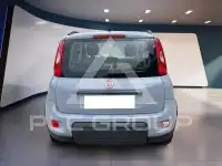 2022 Fiat Panda