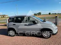 2022 Fiat Panda
