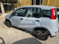 2022 Fiat Panda