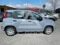 2022 Fiat Panda