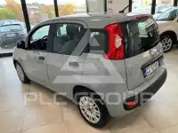 2022 Fiat Panda