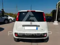 2022 Fiat Panda