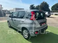 2022 Fiat Panda