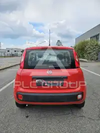 2022 Fiat Panda