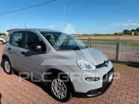 2022 Fiat Panda