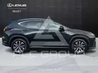 2022 Lexus Other