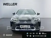 2022 Lexus UX