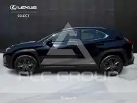 2022 Lexus UX