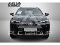 2022 Lexus UX