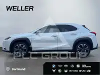 2022 Lexus UX