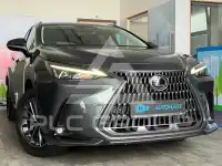 2022 Lexus NX250