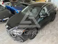 2022 Lexus NX450