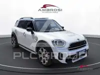 2022 Mini Unknown