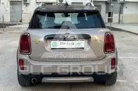 2022 Mini Unknown