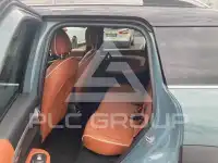2022 Mini Unknown