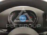 2022 Mini Unknown
