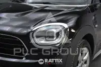 2022 Mini Unknown