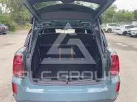 2022 Mini Unknown