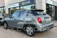 2022 Mini Unknown