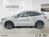 2022 Ford Kuga