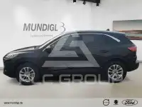 2022 Ford Kuga