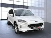 2022 Ford Kuga