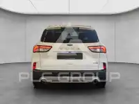 2022 Ford Kuga