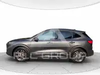 2022 Ford Kuga