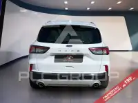2022 Ford Kuga