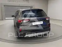2022 Ford Kuga