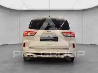 2022 Ford Kuga