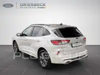 2022 Ford Kuga