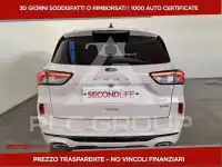 2022 Ford Kuga