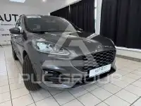 2022 Ford Kuga