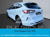 2022 Ford Kuga