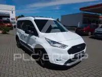 2022 Ford Tourneo
