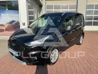 2022 Ford Tourneo