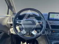 2022 Ford Tourneo