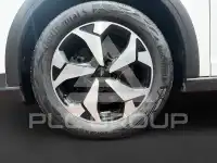 2022 Ford Tourneo