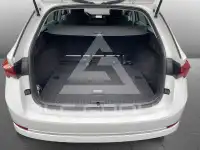 2023 Skoda Octavia