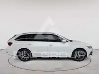 2023 Skoda Octavia