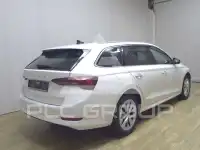 2023 Skoda Octavia