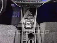 2023 Skoda Octavia
