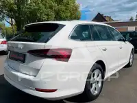2023 Skoda Octavia