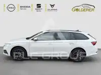 2023 Skoda Octavia