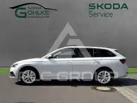 2023 Skoda Octavia