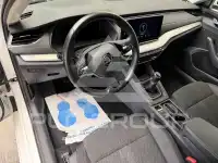 2023 Skoda Octavia