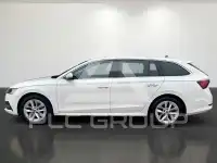 2023 Skoda Octavia
