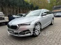 2023 Skoda Octavia