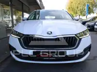 2023 Skoda Octavia